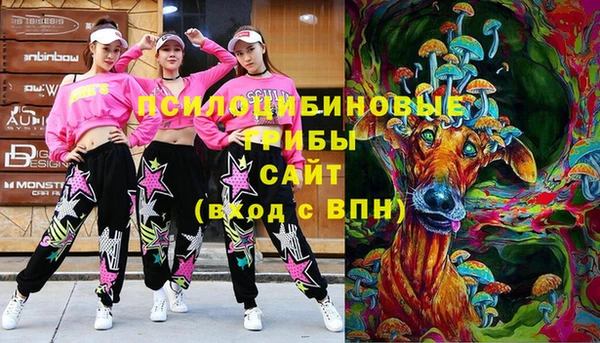 хмурый Бородино