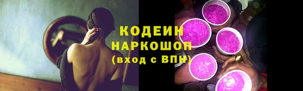 хмурый Бородино