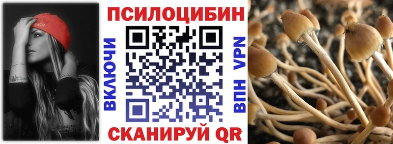 Псилоцибиновые грибы GOLDEN TEACHER  Лиски 